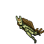 Nymph
